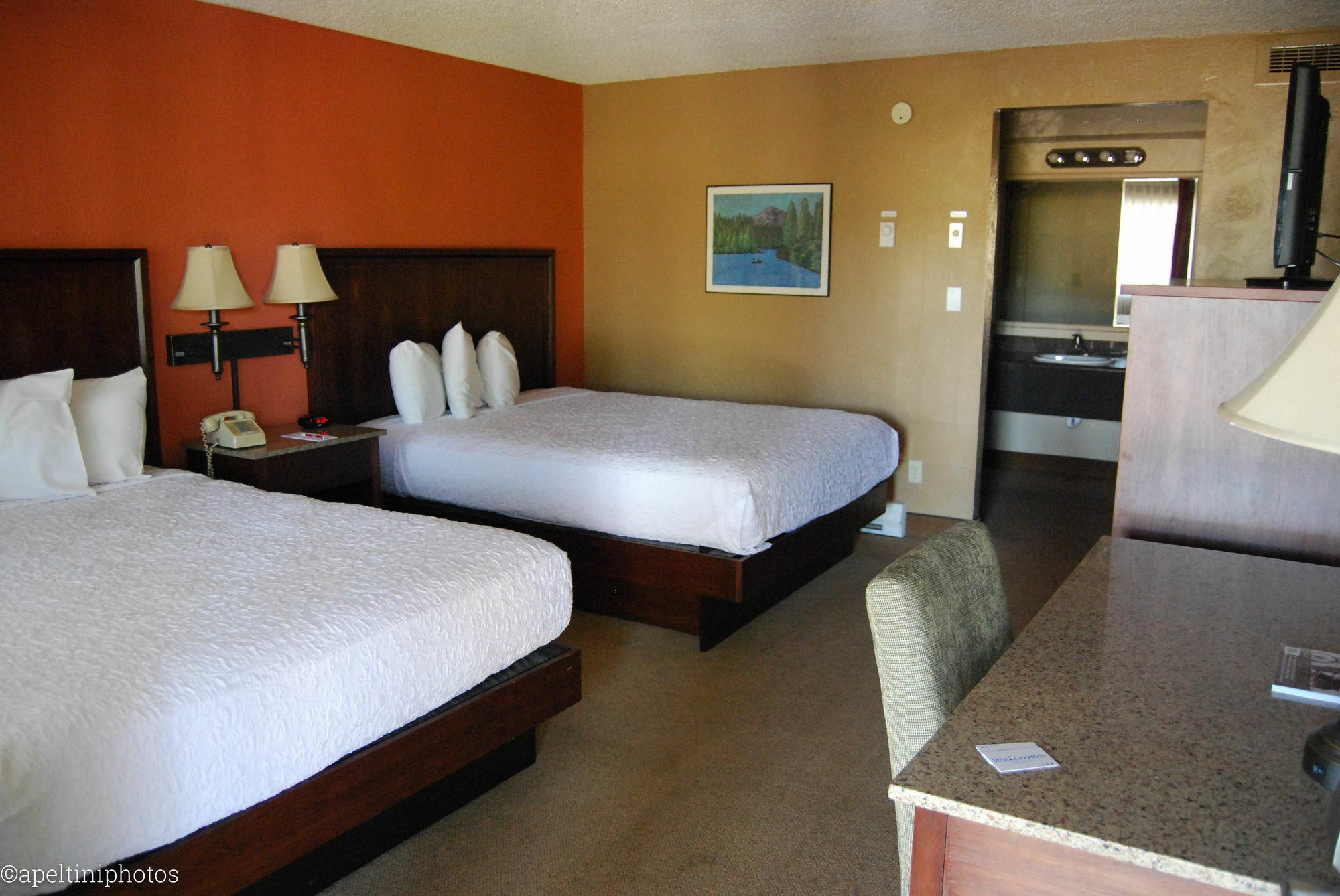 Village Inn Springfield Extérieur photo